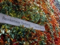 domotex_messe_2012_reinkemeier_39