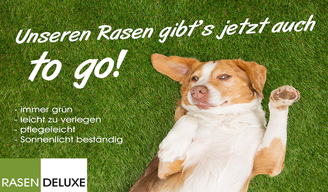 Urlaub im Garten - Hund fühlt sich wohl auf Kunstrasen von Rasen Deluxe